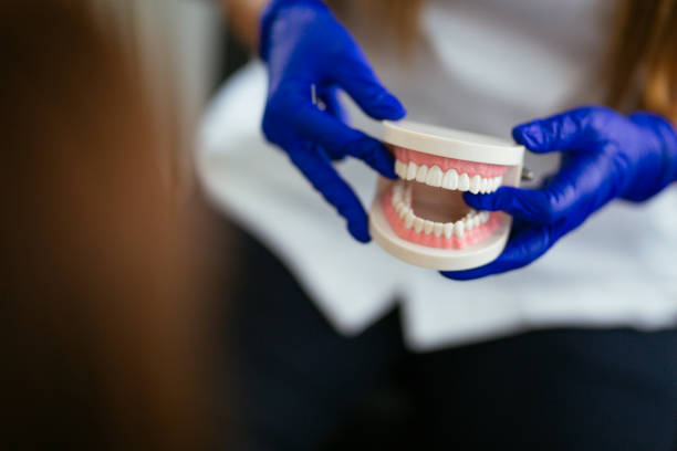 Professional  Holistic Dental Services in San Pasqual, CA